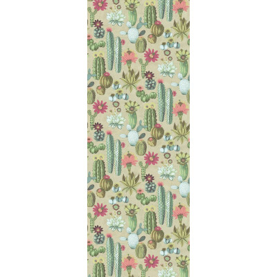 PANORAMIQUE VIVID CACTI DE EIJFFINGER 2