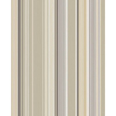 PAPIER PEINT STRIPES + vintage DE EIJFFINGER 2