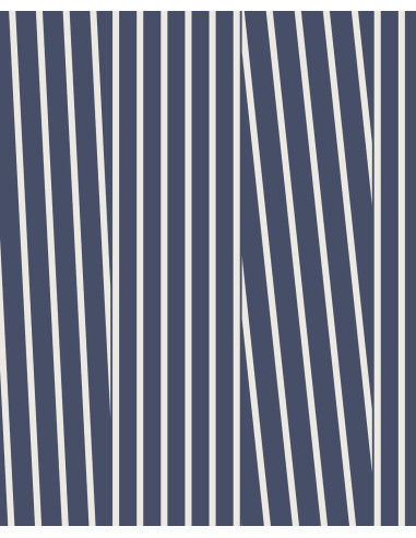 PAPIER PEINT STRIPES + SMOOTH DE EIJFFINGER