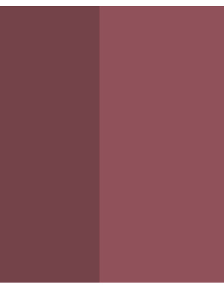 PAPIER PEINT STRIPES + CLASSIC DE EIJFFINGER