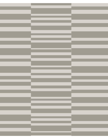 PAPIER PEINT STRIPES + TRAITS DE EIJFFINGER