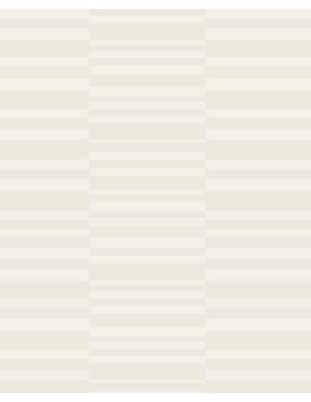 PAPIER PEINT STRIPES + TRAITS DE EIJFFINGER