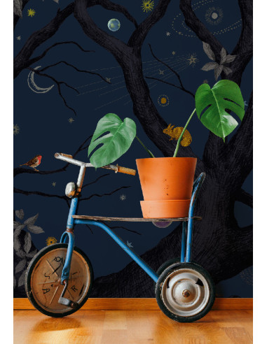 Décor panoramique Arbracadabra nuit Isidore Leroy