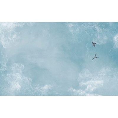 Papier peint Ciel Isidore Leroy 2