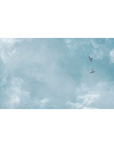 Papier peint Ciel Isidore Leroy