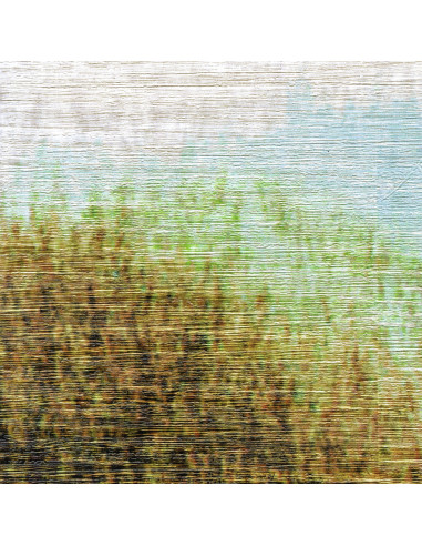 Panoramique sauvage de Elitis