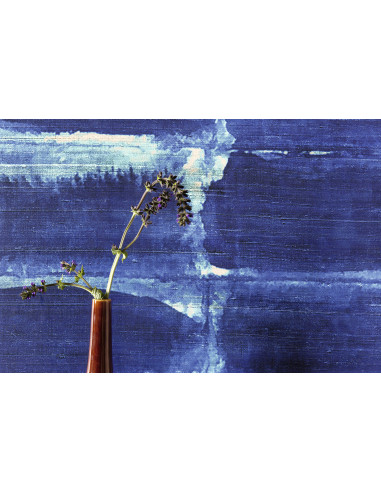 Panoramique Indigo de Elitis