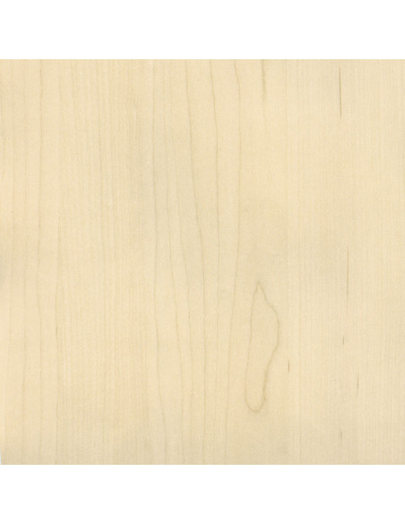 Revêtement mural DRYADES de Elitis