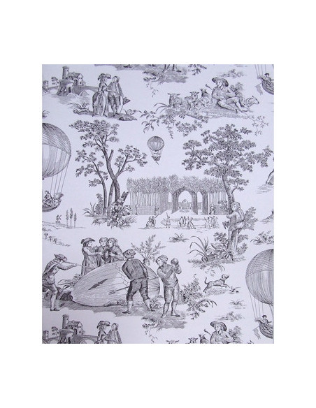 Papier peint BALLON DE GONESSE DE CHARLES BURGER