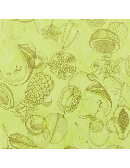 Papier Peint BOUGAINVILLIER AGUA PARATI