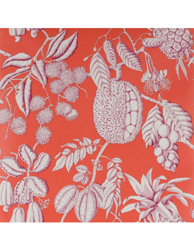 Papier peint Balangan de Manuel Canovas