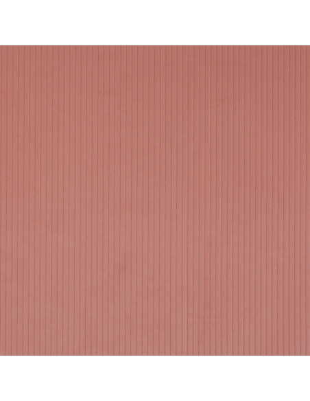 Tissu ROMA de Manuel Canovas