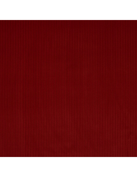 Tissu ROMA de Manuel Canovas