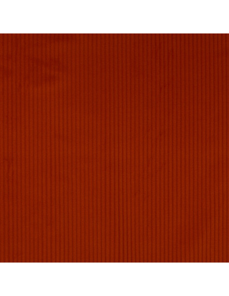 Tissu ROMA de Manuel Canovas