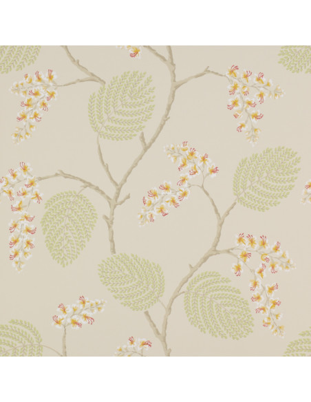 Papier peint ATWOOD de Colefax and Fowler