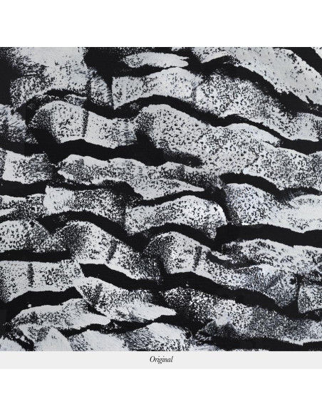 Décors panoramique CASCADE de Isidore Leroy Décors panoramique CASCADE de Isidore Leroy