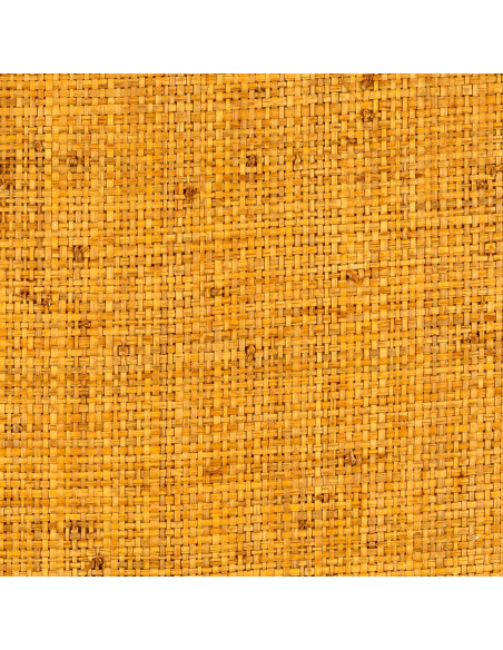 Revêtement mural CESTERIA RM 1017 21 de Elitis