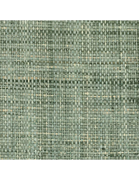 Revêtement mural CESTERIA RM 1017 60 de Elitis