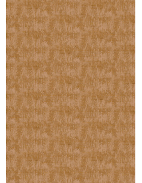 Papier peint CHOGAK de Elitis VP 943 06