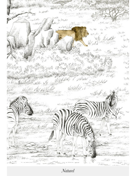 Panoramique VALLEE DU RIFT de Isidore LEROY