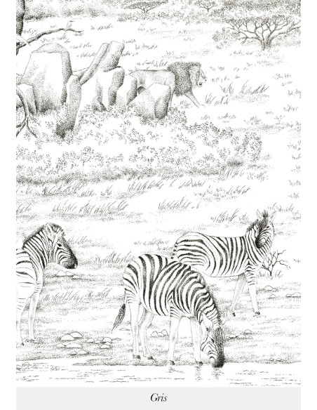 Panoramique VALLEE DU RIFT de Isidore LEROY