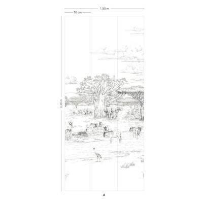 Panoramique VALLEE DU RIFT de Isidore LEROY 2