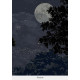 Panoramique ECLIPSE de Isidore LEROY nocturne