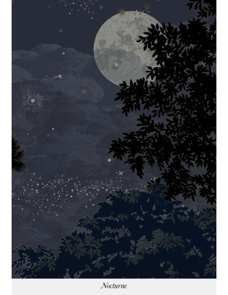 Panoramique ECLIPSE de Isidore LEROY nocturne Panoramique ECLIPSE de Isidore LEROY nocturne