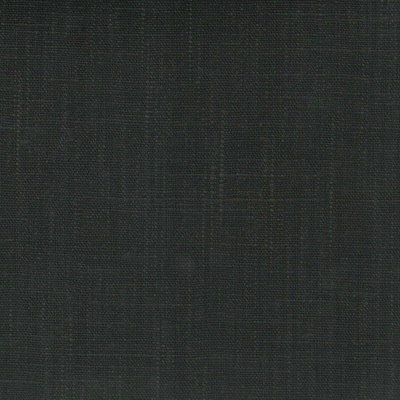 Toile SAUVAGEONNE DE CHARLES BURGER 2