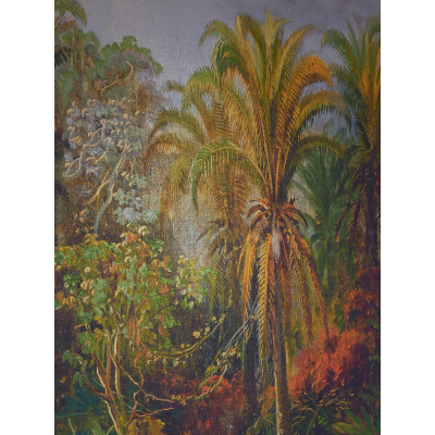 Panoramique MONTEVERDE de Pierre Frey 2