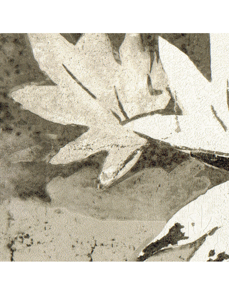 Papier peint RETOUR DES INDES de Elitis