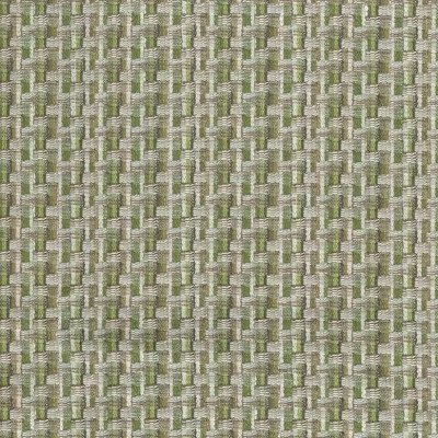 Tissu GARADI de Nina Campbell 2