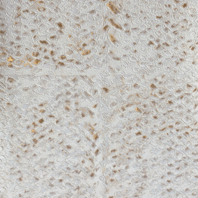 Papier peint LACA SALVAJE de Elitis 2