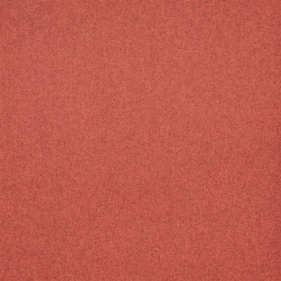 Tissu MELTON de Designers Guild 2