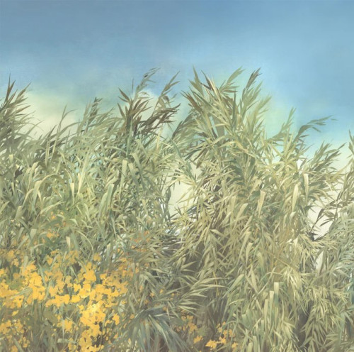 Panoramique ARUNDO DONAX de Isidore Leroy Panoramique ARUNDO DONAX de Isidore Leroy