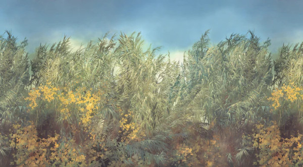 Panoramique ARUNDO DONAX de Isidore Leroy