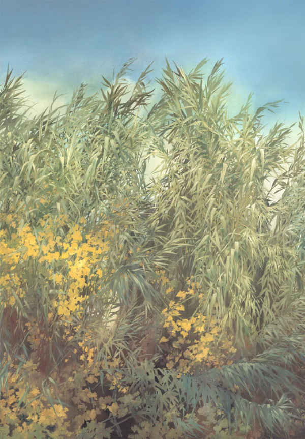 Panoramique ARUNDO DONAX de Isidore Leroy