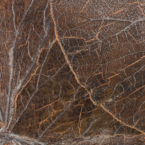 Revêtement mural Nénuphar sauvage de CMO PAris