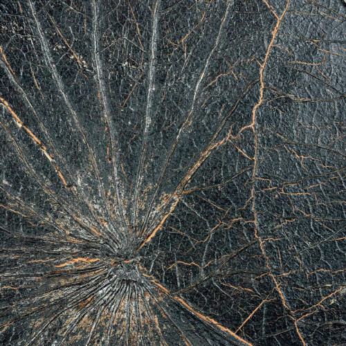 Revêtement mural Nénuphar sauvage de CMO PAris