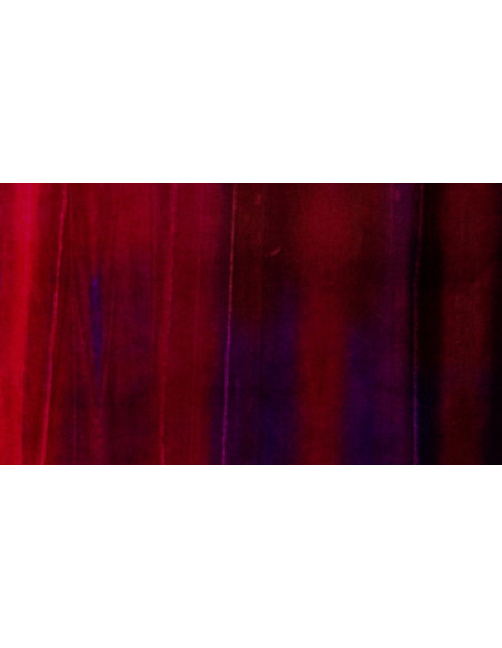 Velours Lagune Fruit des Bois