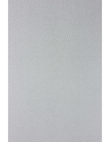 Papier Peint Melo gris OSBORNE & LITTLE