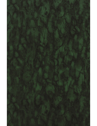 Papier Peint  KERSHAW PLAIN Nina Campbell