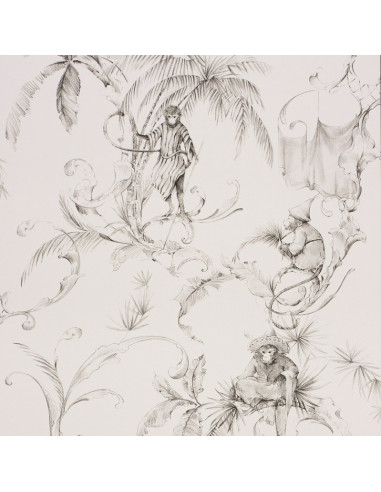 Papier Peint  Barbary Toile Nina Campbell