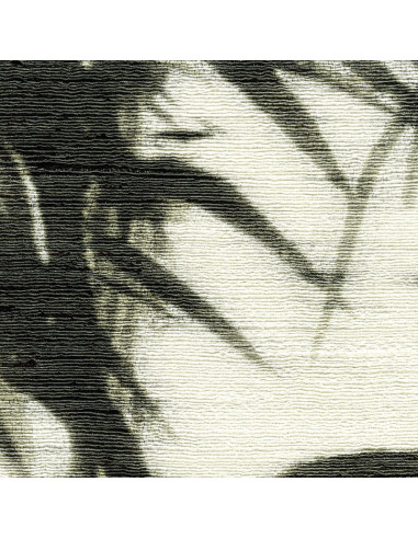 Terra promessa de Elitis