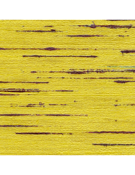 Papier peint Indiana jaune de Elitis