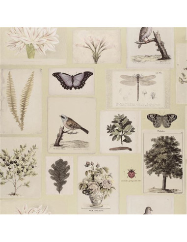 Flora and fauna de John Derian