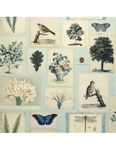 Flora and fauna de John Derian