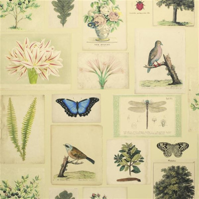 Flora and fauna de John Derian 2