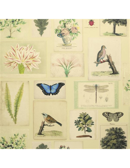 Flora and fauna de John Derian Flora and fauna de John Derian