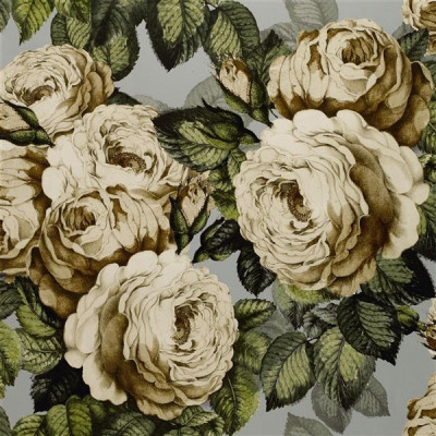 The rose de John Derian 2